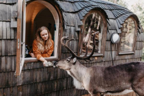 Igluhut – Sleep with reindeer Espoo